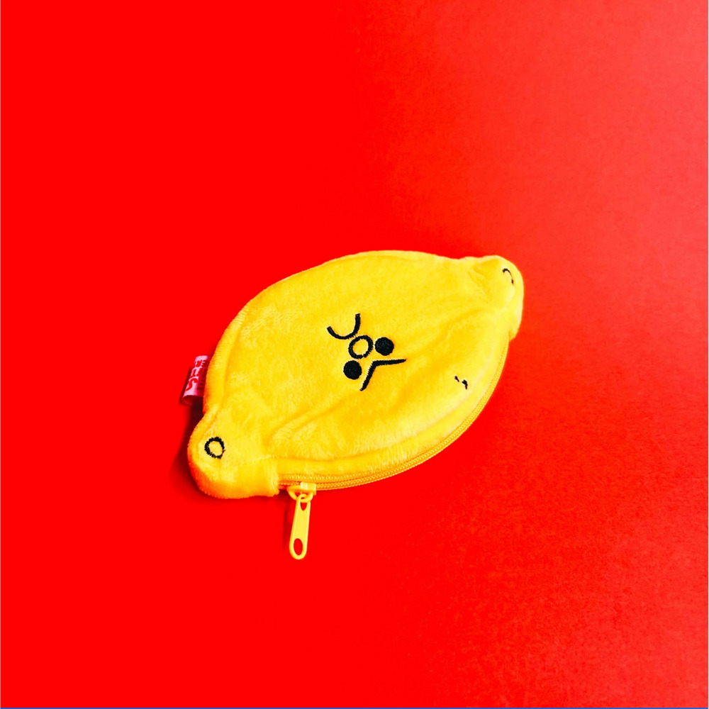 LEMON small pauch case 詳細画像